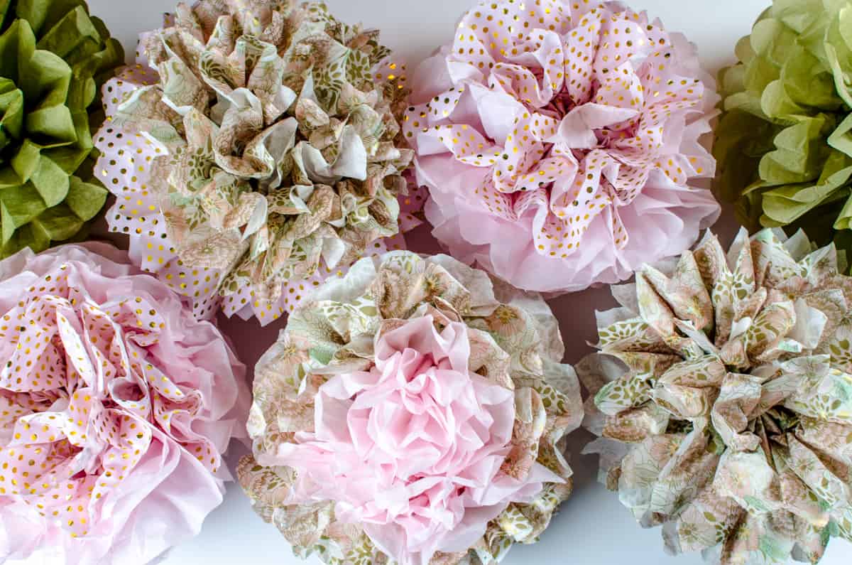 How to Make Tissue Paper Pom Poms (Multicolor) First Day
